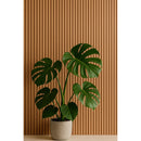 Painel Ripado MDF 3D Autocolante (Kit 50 Peças): A Revolução do Luxo Instantâneo para Transformar sua Sala ou Quarto sem Poeira nem Marceneiro